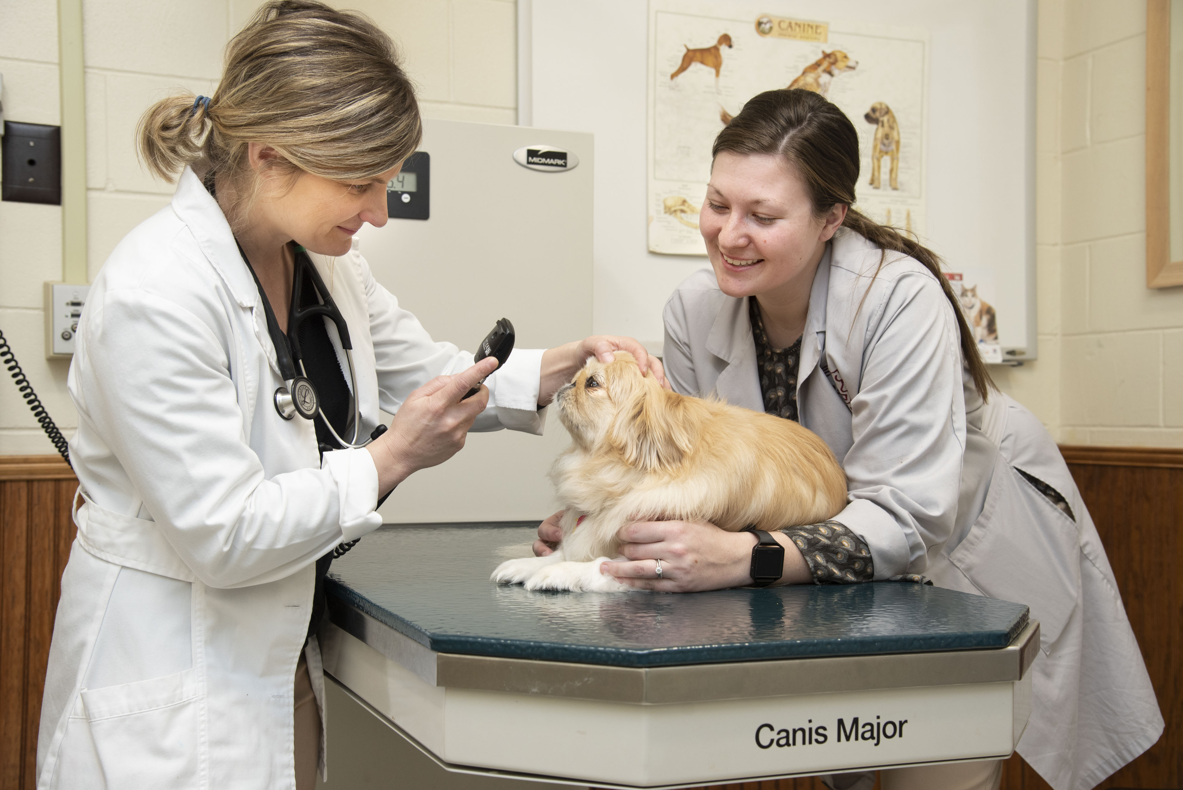 newest research in veterinary medicine